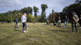 hsv-leipzig-wiederitzsch.de