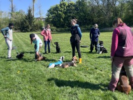 hsv-leipzig-wiederitzsch.de