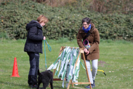 hsv-leipzig-wiederitzsch.de
