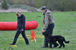 hsv-leipzig-wiederitzsch.de