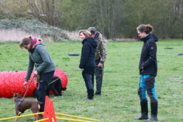 hsv-leipzig-wiederitzsch.de