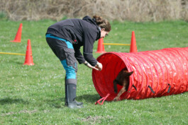 hsv-leipzig-wiederitzsch.de