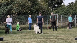 hsv-leipzig-wiederitzsch.de