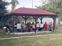 hsv-leipzig-wiederitzsch.de