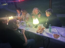 hsv-leipzig-wiederitzsch.de