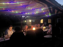 hsv-leipzig-wiederitzsch.de