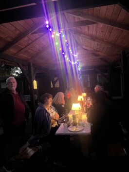 hsv-leipzig-wiederitzsch.de