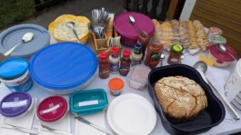 hsv-leipzig-wiederitzsch.de