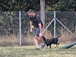 hsv-leipzig-wiederitzsch.de